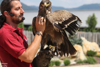 Acrobati del Sole Cividale